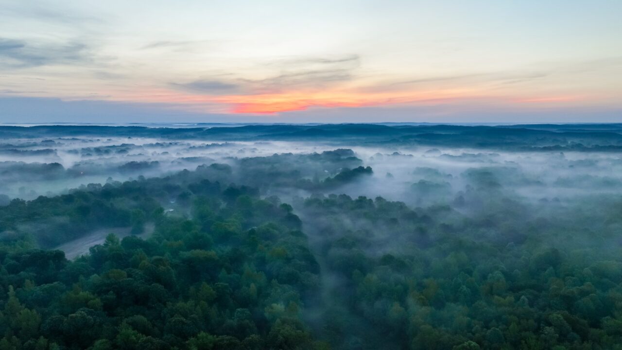 Turkey Knob & Fairway Lane • WRIGHT REALTY